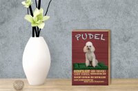 Holzschild Spruch 12x18cm Pudel hochintelligent lieb Hund