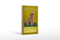 Holzschild Spruch 12x18cm Labradoodle Hund froh und clever