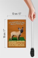 Holzschild Spruch 12x18cm französische Bulldogge Hund
