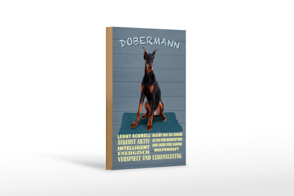 Holzschild Spruch 12x18cm Dobermann lernt schnell Hund