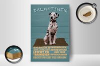Holzschild Spruch 12x18cm Dalmatiner Hund energisch aktiv