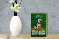 Holzschild Spruch 12x18cm Border Terrier Hund wachsam