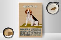 Holzschild Spruch 12x18cm Beagle Hund gutmütig liebt jeden