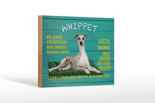 Holzschild Spruch 18x12cm Whippet Hund gentle amiable