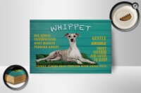 Holzschild Spruch 18x12cm Whippet Hund gentle amiable