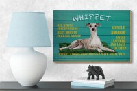 Holzschild Spruch 18x12cm Whippet Hund gentle amiable