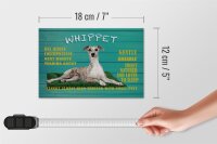 Holzschild Spruch 18x12cm Whippet Hund gentle amiable