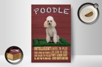 Holzschild Spruch 12x18cm Hund Poodle loves to play