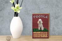 Holzschild Spruch 12x18cm Hund Poodle loves to play