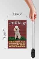 Holzschild Spruch 12x18cm Hund Poodle loves to play