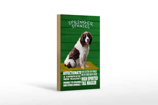 Holzschild Spruch 12x18cm Springer Spaniel Hund friendly