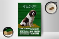 Holzschild Spruch 12x18cm Springer Spaniel Hund friendly