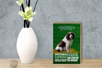 Holzschild Spruch 12x18cm Springer Spaniel Hund friendly