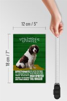 Holzschild Spruch 12x18cm Springer Spaniel Hund friendly