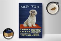 Holzschild Spruch 12x18cm Shih Tzu Hund lively loyal