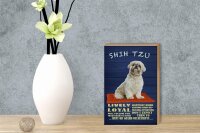 Holzschild Spruch 12x18cm Shih Tzu Hund lively loyal