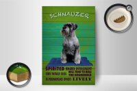 Holzschild Spruch 12x18cm Schnauzer Hund highly inelligent