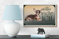 Holzschild Hund 18x12cm Welsh Corgi hier wache ich