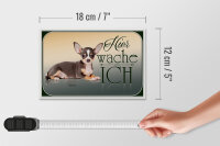Holzschild Hund 18x12cm Welsh Corgi hier wache ich
