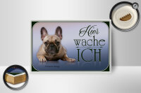 Holzschild Hund 18x12cm Französische Bulldogge hier