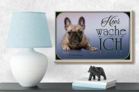 Holzschild Hund 18x12cm Französische Bulldogge hier