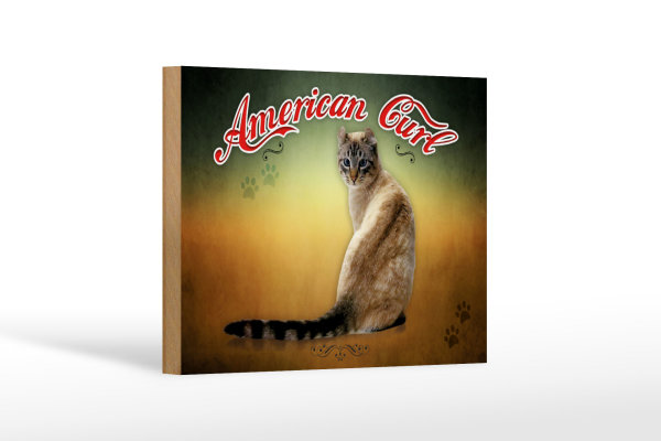 Holzschild Katze 18x12 cm American Curl Wanddeko