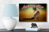 Holzschild Katze 18x12 cm American Curl Wanddeko