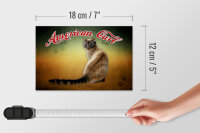 Holzschild Katze 18x12 cm American Curl Wanddeko
