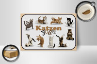 Holzschild Katze 18x12cm Katzen Yoga Wanddeko