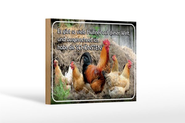 Holzschild Spruch 18x12cm es gibt so viele Hühner und