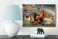 Holzschild Spruch 18x12cm es gibt so viele Hühner und