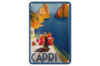Blechschild Reise 12x18 cm Capri Italien Wasser Blumen Deko Schild