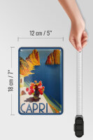 Blechschild Reise 12x18 cm Capri Italien Wasser Blumen Deko Schild