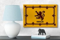 Holzschild Flagge 18x12cm Schottland Königswappen