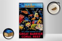 Holzschild Spruch 12x18cm creat barrier coral reef