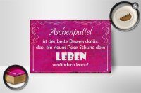 Holzschild Spruch 18x12cm Aschenputtel Schuhe ändern Leben