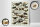 Holzschild Hinweis 30x40 cm Dinosaurs of the cretaceous Period Deko Schild