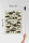 Holzschild Hinweis 30x40 cm Dinosaurs of the cretaceous Period Deko Schild