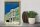 Holzschild Reise 30x40 cm St. Petersburg Russland Schnee Kutsche Deko Schild