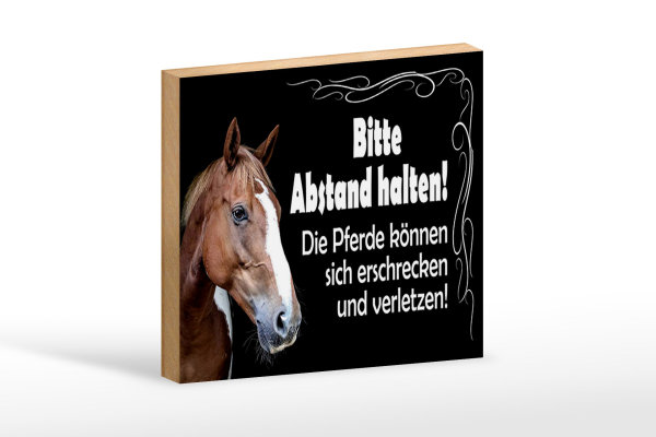Holzschild Spruch 18x12cm bitte Abstand halten Pferde