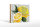 Holzschild Spruch 12x18 cm When life hands you Lemons grab the Salt and Tequila