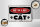 Holzschild Spruch 18x12cm beware of the CAT Vorsicht Katze