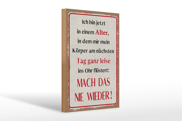 Holzschild Spruch 20x30 cm Körper Mach das nie wieder Deko Schild