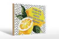 Holzschild Spruch 20x30 cm When life hands you Lemons grab the Salt and Tequila