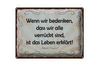 Blechschild Zitat 30x40 cm bedenken, dass wir alle verrückt sind Mark Twain