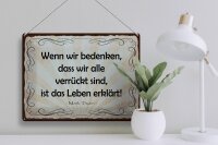 Blechschild Zitat 30x40 cm bedenken, dass wir alle verrückt sind Mark Twain
