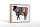 Holzschild Metzger 18x12cm Kuh Beef cuts Fleisch