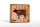 Holzschild Metzger 18x12cm Beef cuts Organic Metzgerei
