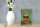 Holzschild Essen 12x18cm fast food Burgers buy now wifi