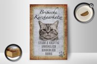 Holzschild Spruch 12x18cm britische Kurzhaarkatze Schild